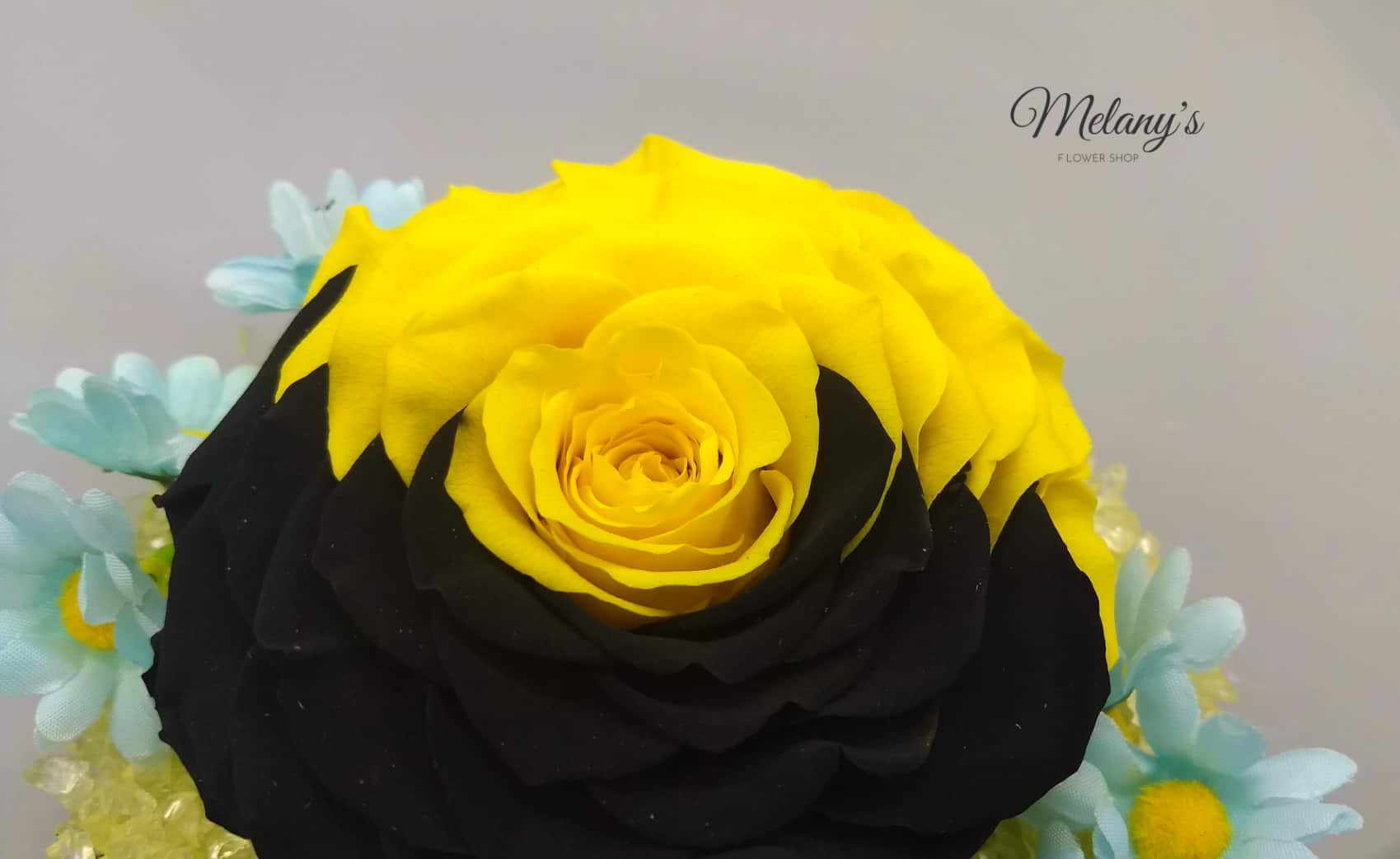 20 MOTIVOS POR QUÉ REGALAR UNA ROSA PRESERVADA - Melany's Flower Shop