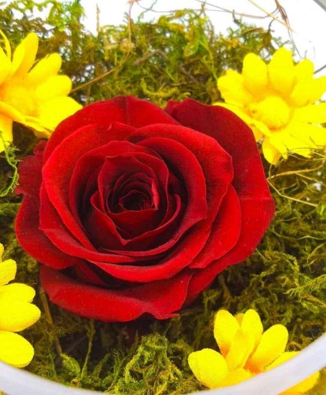 red rose melany flower shop 1 (2)