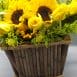 Love in yellow 2 - Rosas amarillas en el salvador - Melany flower Shop