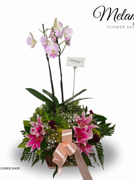 Lean on my - arreglo floral de orquideas