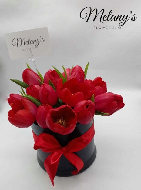 tulipanes 3