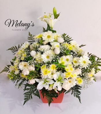 blessing v1 2023 (7)